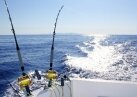 В ОАЭ вводится запрет на рыбную ловлю с прогулочных судов
