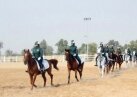 Женский конный патруль в Дубае