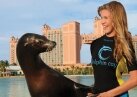 В отеле Атлантис новая программа с морскими львами– Sea Lion Point