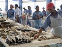Fish Souk Dubai- рыбный рынок