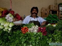 Fruit and Vegetable Market- овощной рынок