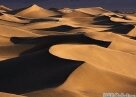 География ОАЭ- не пустынями едиными…